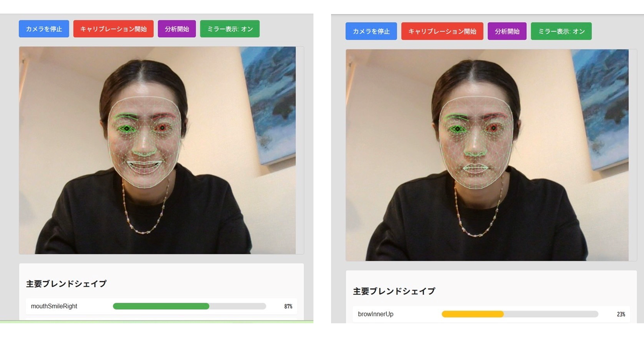 顔の感情認識システム